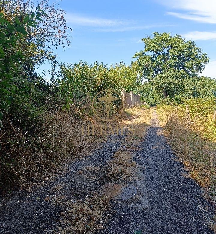 Se vende finca rustica a 1 km de Tui
