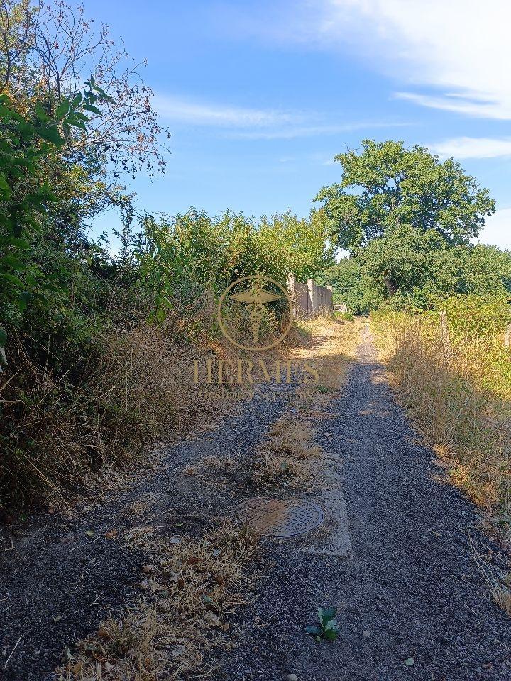 178662175080000011120_178662125431 Se vende finca rustica a 1 km de Tui