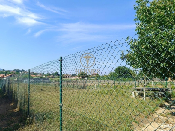 Se vende finca rustica a 1 km de Tui
