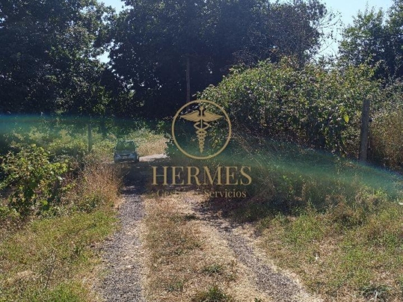 Se vende finca rustica a 1 km de Tui