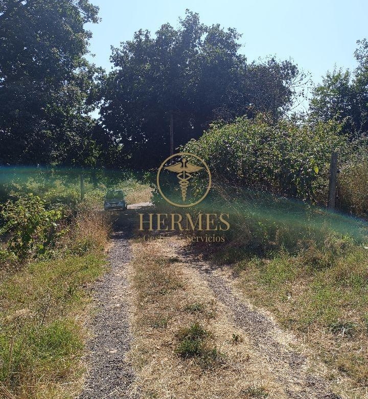 Se vende finca rustica a 1 km de Tui