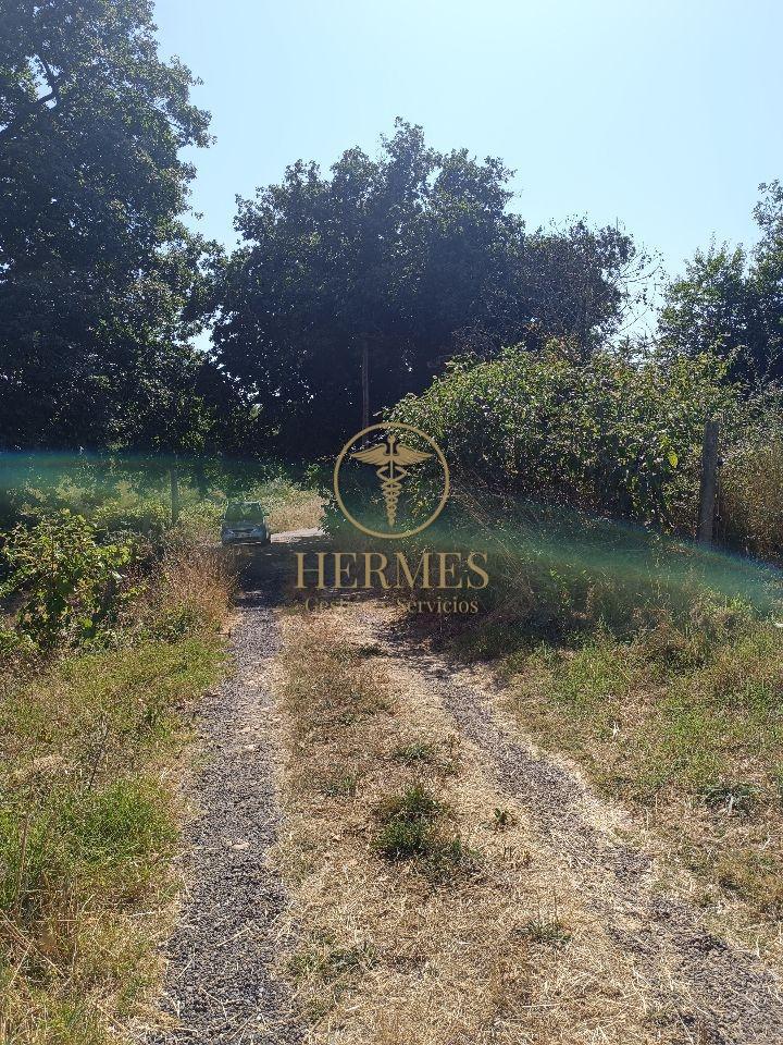 178662175166900011120_178662125569 Se vende finca rustica a 1 km de Tui