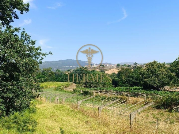 Se vende finca rustica a 1 km de Tui
