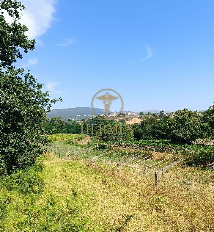 Se vende finca rustica a 1 km de Tui