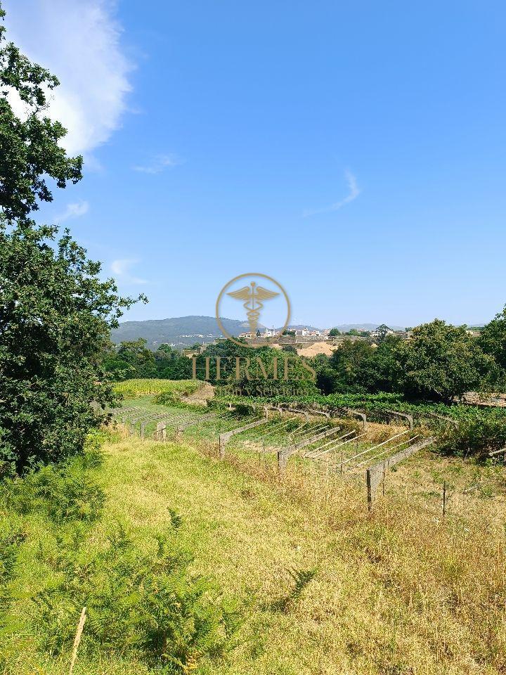 178662175170900011120_178662125498 Se vende finca rustica a 1 km de Tui