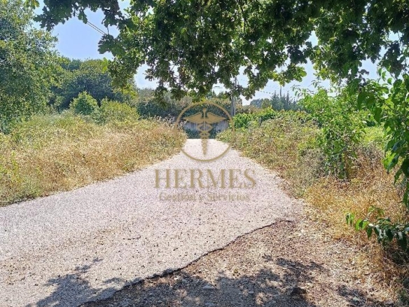 Se vende finca rustica a 1 km de Tui