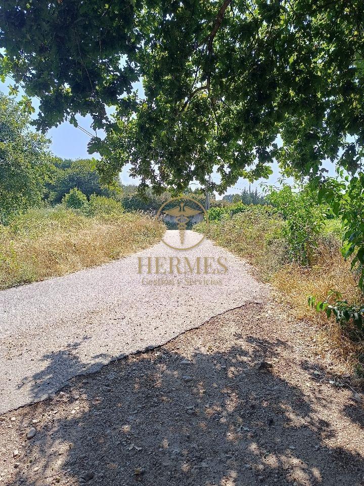 178662175211300011120_178662125396 Se vende finca rustica a 1 km de Tui