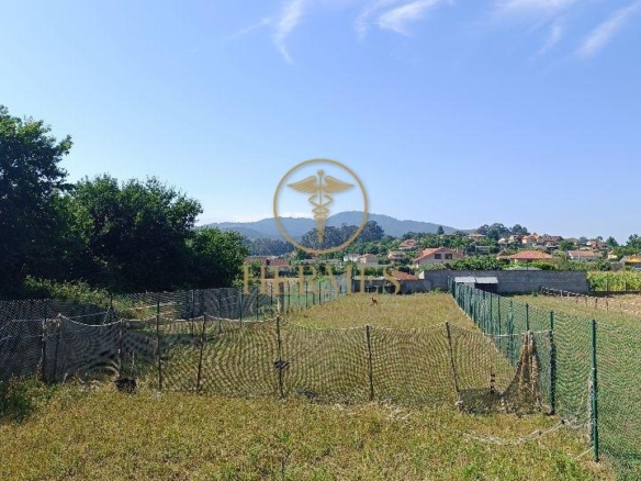 Se vende finca rustica a 1 km de Tui