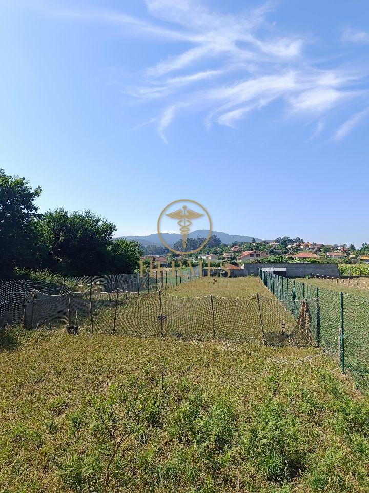178662175355400011120_178662125730 Se vende finca rustica a 1 km de Tui