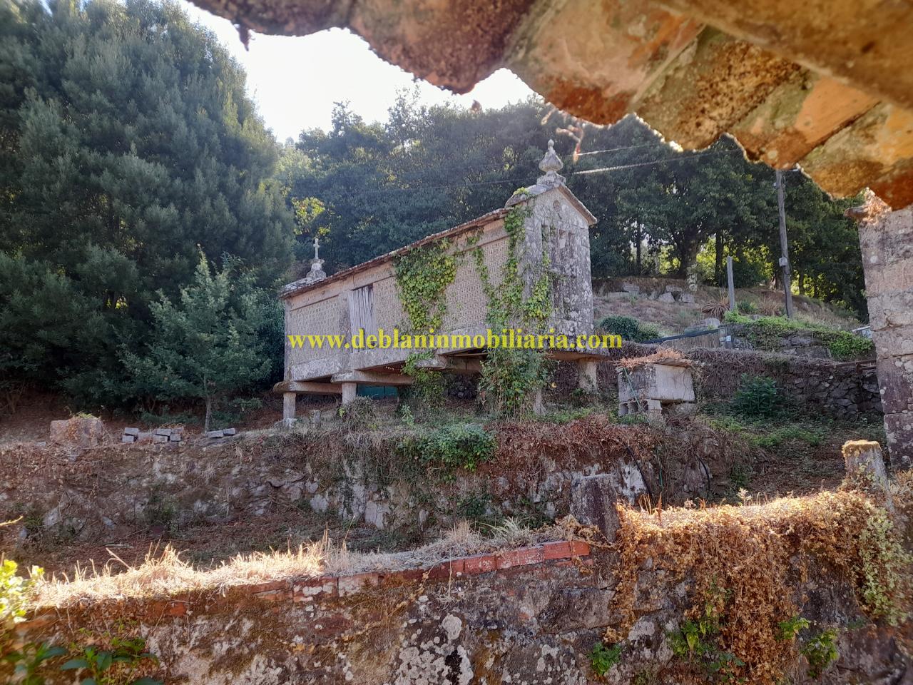 178664296961000045652_178664275742 CASONA DE PIEDRA PARA REHABILITAR CON FINCA DE 3730m2