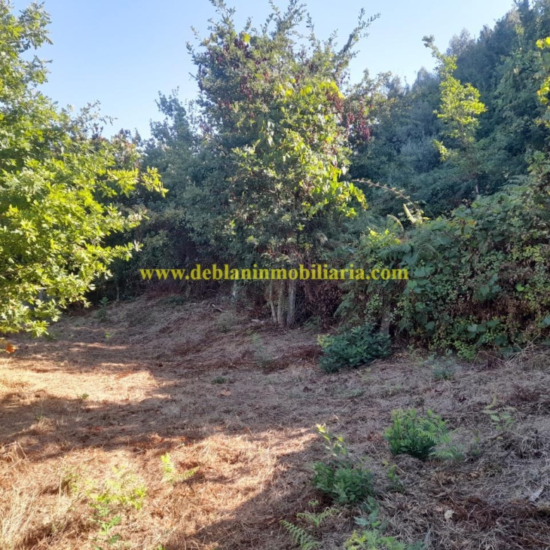 CASONA DE PIEDRA PARA REHABILITAR CON FINCA DE 3730m2
