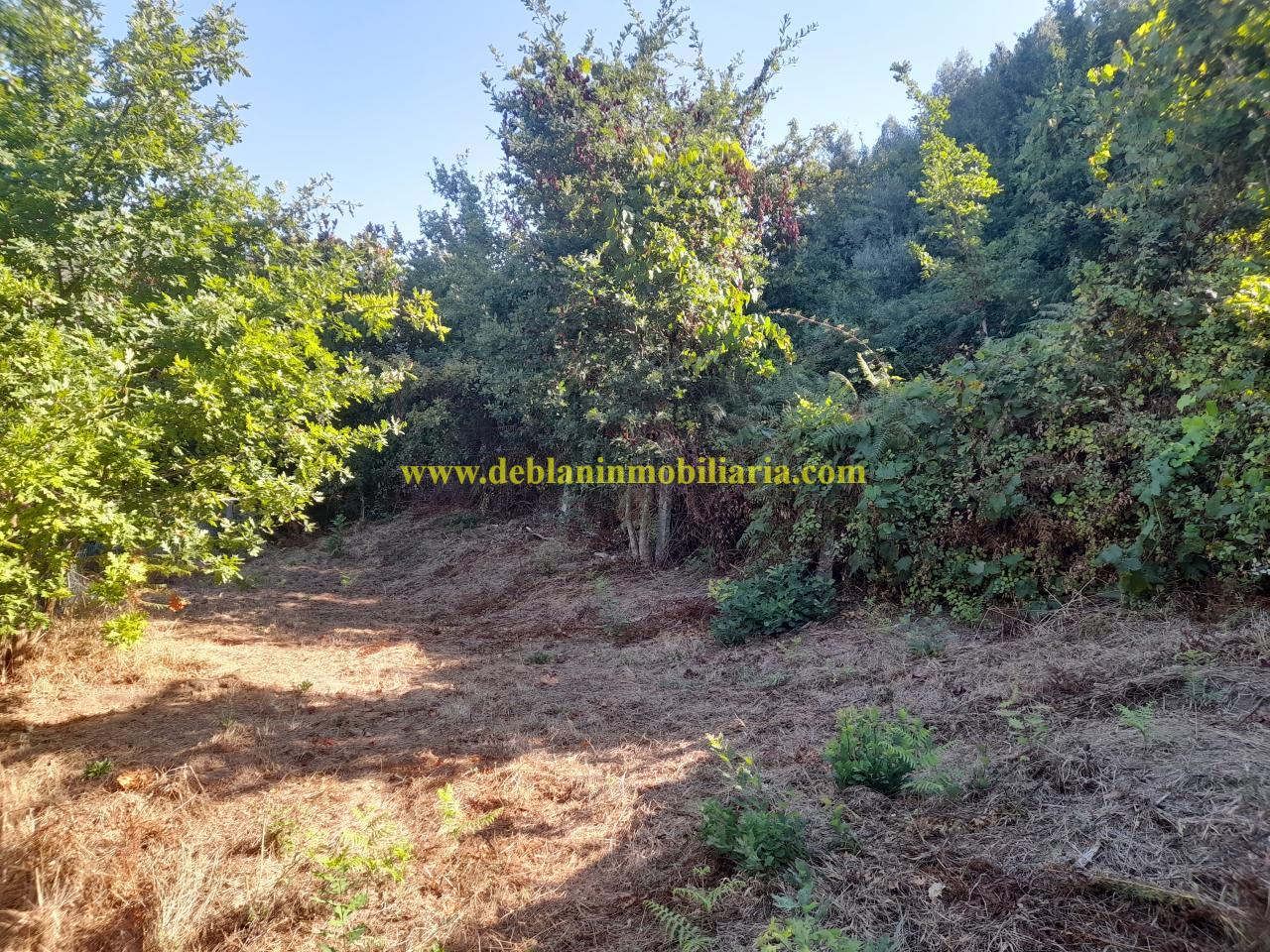 178664297192400045652_178664276380 CASONA DE PIEDRA PARA REHABILITAR CON FINCA DE 3730m2
