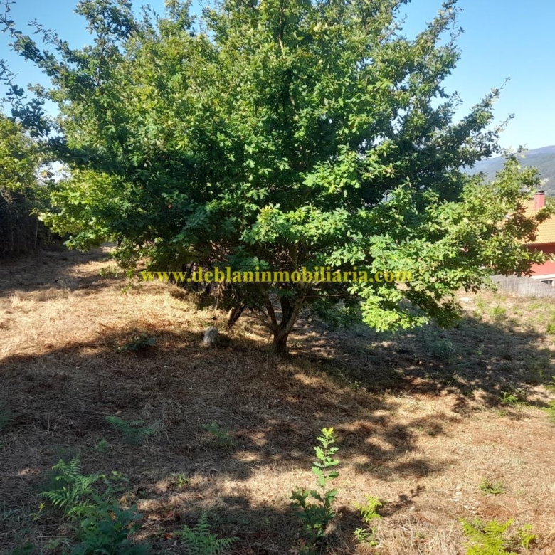 CASONA DE PIEDRA PARA REHABILITAR CON FINCA DE 3730m2