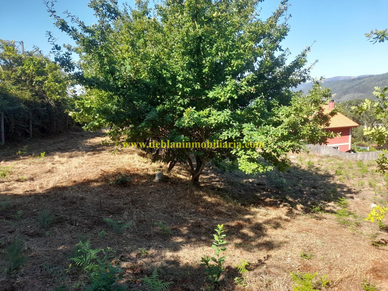 178664297235900045652_178664276605 CASONA DE PIEDRA PARA REHABILITAR CON FINCA DE 3730m2