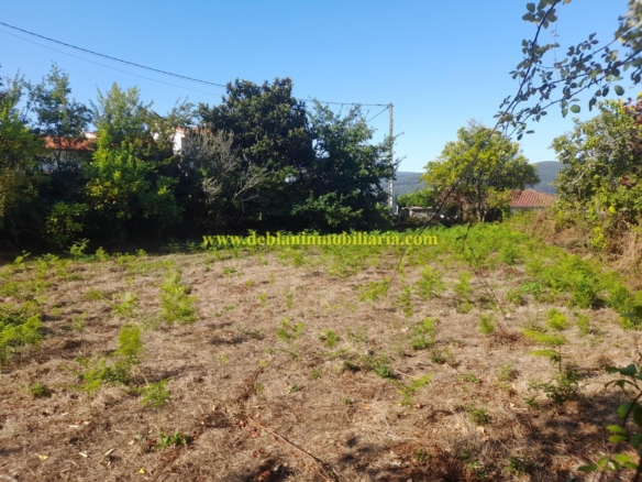 CASONA DE PIEDRA PARA REHABILITAR CON FINCA DE 3730m2