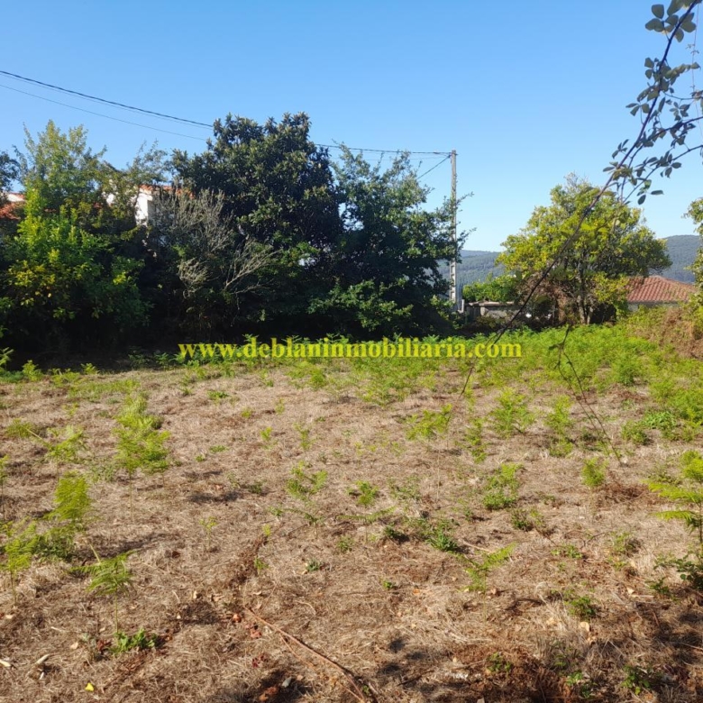 CASONA DE PIEDRA PARA REHABILITAR CON FINCA DE 3730m2