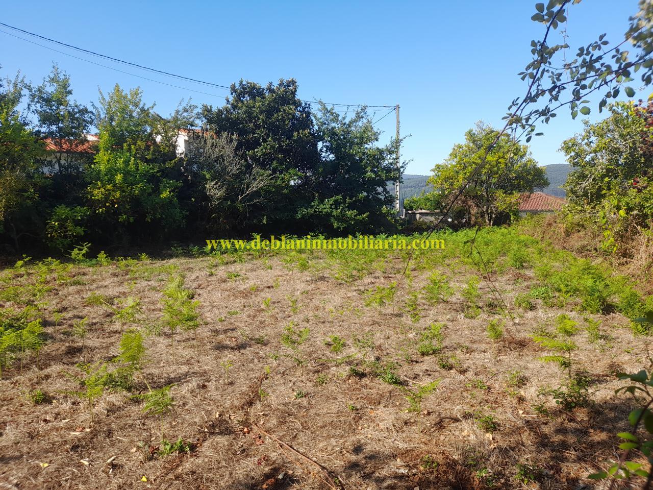 178664297357500045652_178664277017 CASONA DE PIEDRA PARA REHABILITAR CON FINCA DE 3730m2