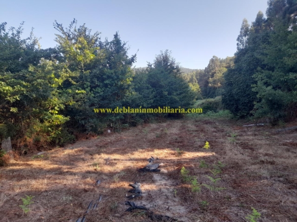 CASONA DE PIEDRA PARA REHABILITAR CON FINCA DE 3730m2