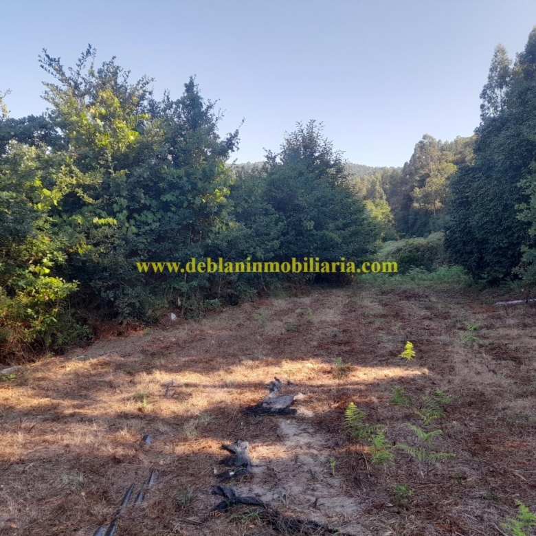 CASONA DE PIEDRA PARA REHABILITAR CON FINCA DE 3730m2