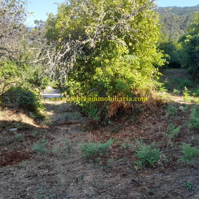 CASONA DE PIEDRA PARA REHABILITAR CON FINCA DE 3730m2