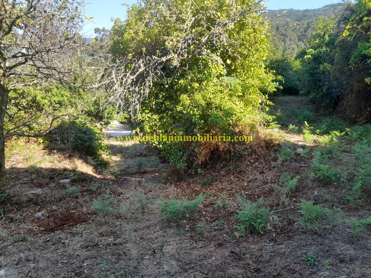 178664297892600045652_178664278543 CASONA DE PIEDRA PARA REHABILITAR CON FINCA DE 3730m2