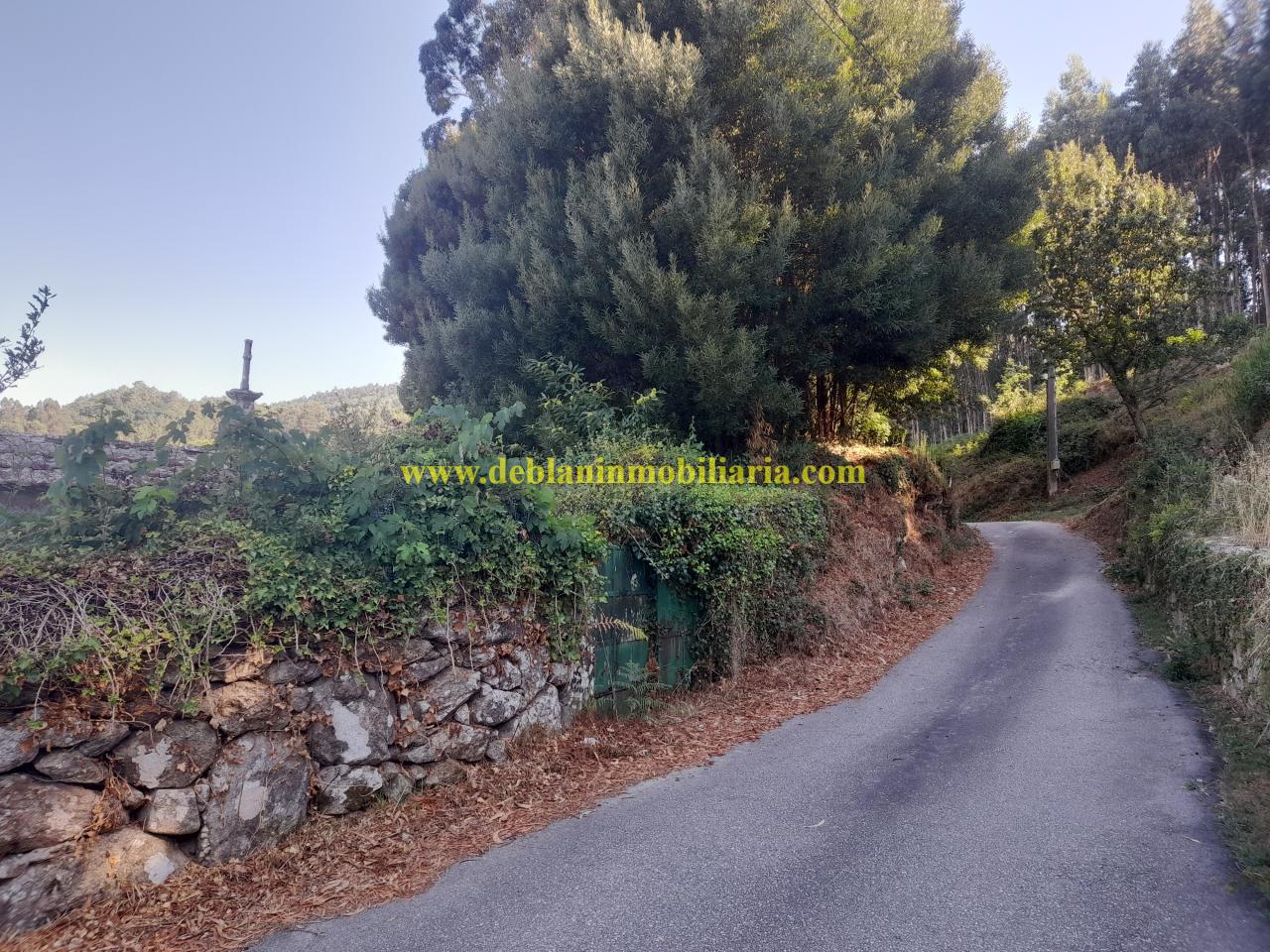 178664298322000045652_178664280433 CASONA DE PIEDRA PARA REHABILITAR CON FINCA DE 3730m2