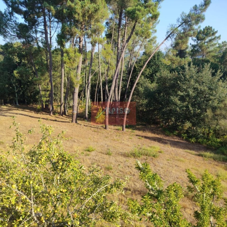 Casa en Amoeiro