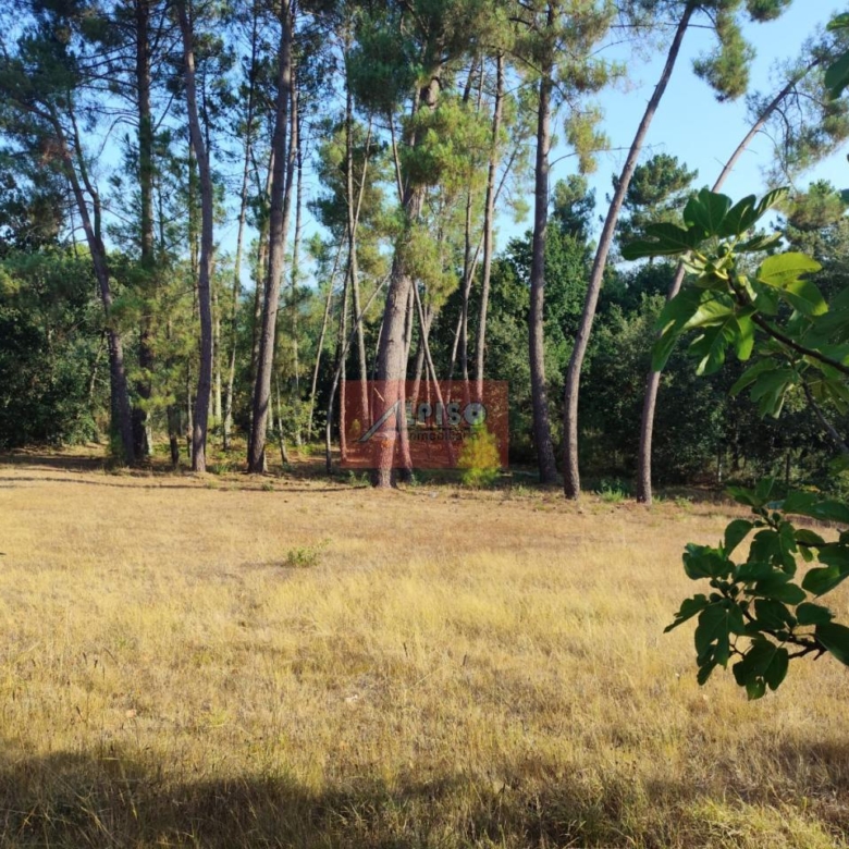 Casa en Amoeiro