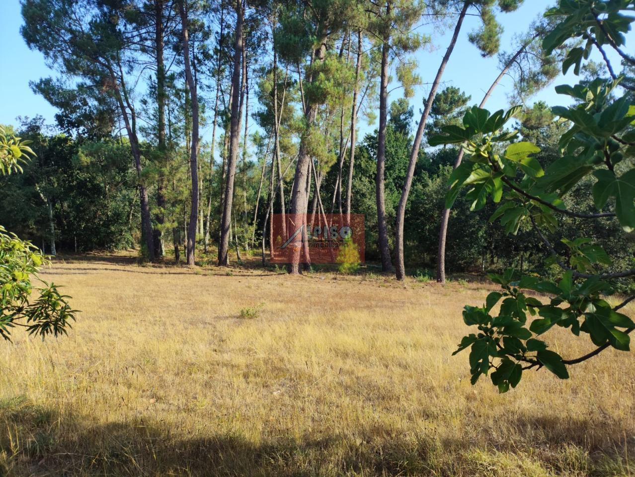 Casa en Amoeiro