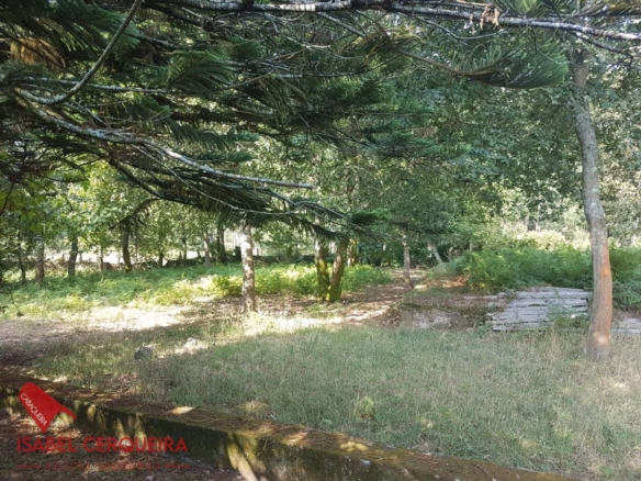 OPORTUNIDAD ÚNICA EN TOMIÑO | CASONA DE 1856 A REFORMAR · 462 M² · 9.420 M² DE FINCA