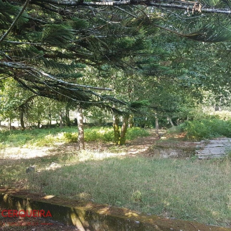 OPORTUNIDAD ÚNICA EN TOMIÑO | CASONA DE 1856 A REFORMAR · 462 M² · 9.420 M² DE FINCA