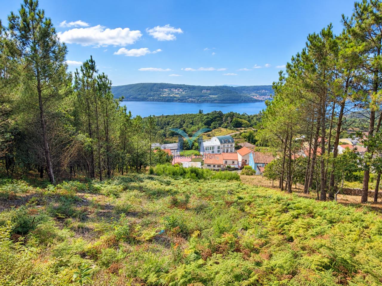 Finca con Vistas al Mar, de 1.533 m² con proyecto para vivienda unifamiliar con piscina en Ameixenda – Cee