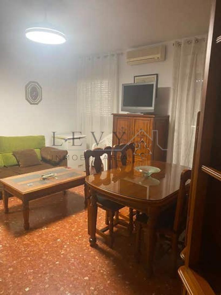 178957384427600173496_178957363949 Piso en alquiler zona Teatinos curso escolar