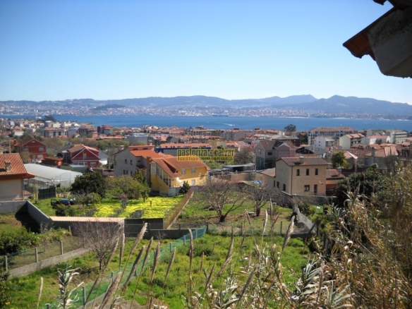 Pareado en Cangas