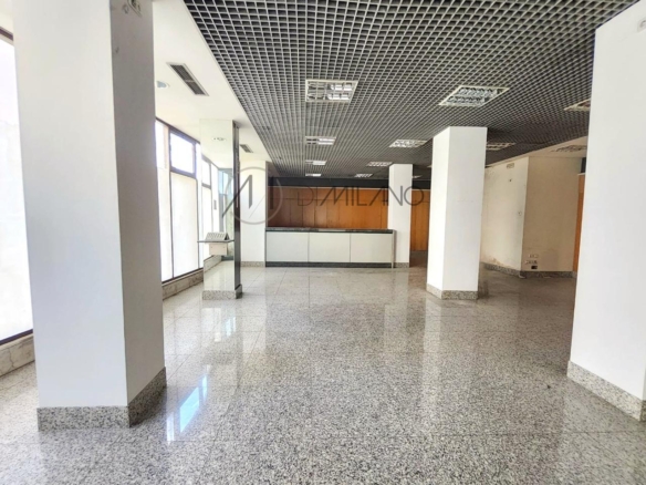 Amplio local comercial en Camelias, junto a Plaza de la Independencia