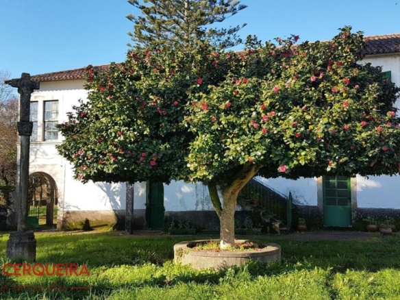 OPORTUNIDAD ÚNICA EN TOMIÑO | CASONA DE 1856 A REFORMAR · 462 M² · 9.420 M² DE FINCA