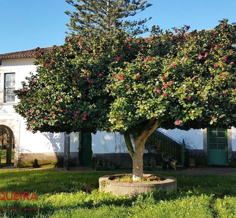 OPORTUNIDAD ÚNICA EN TOMIÑO | CASONA DE 1856 A REFORMAR · 462 M² · 9.420 M² DE FINCA
