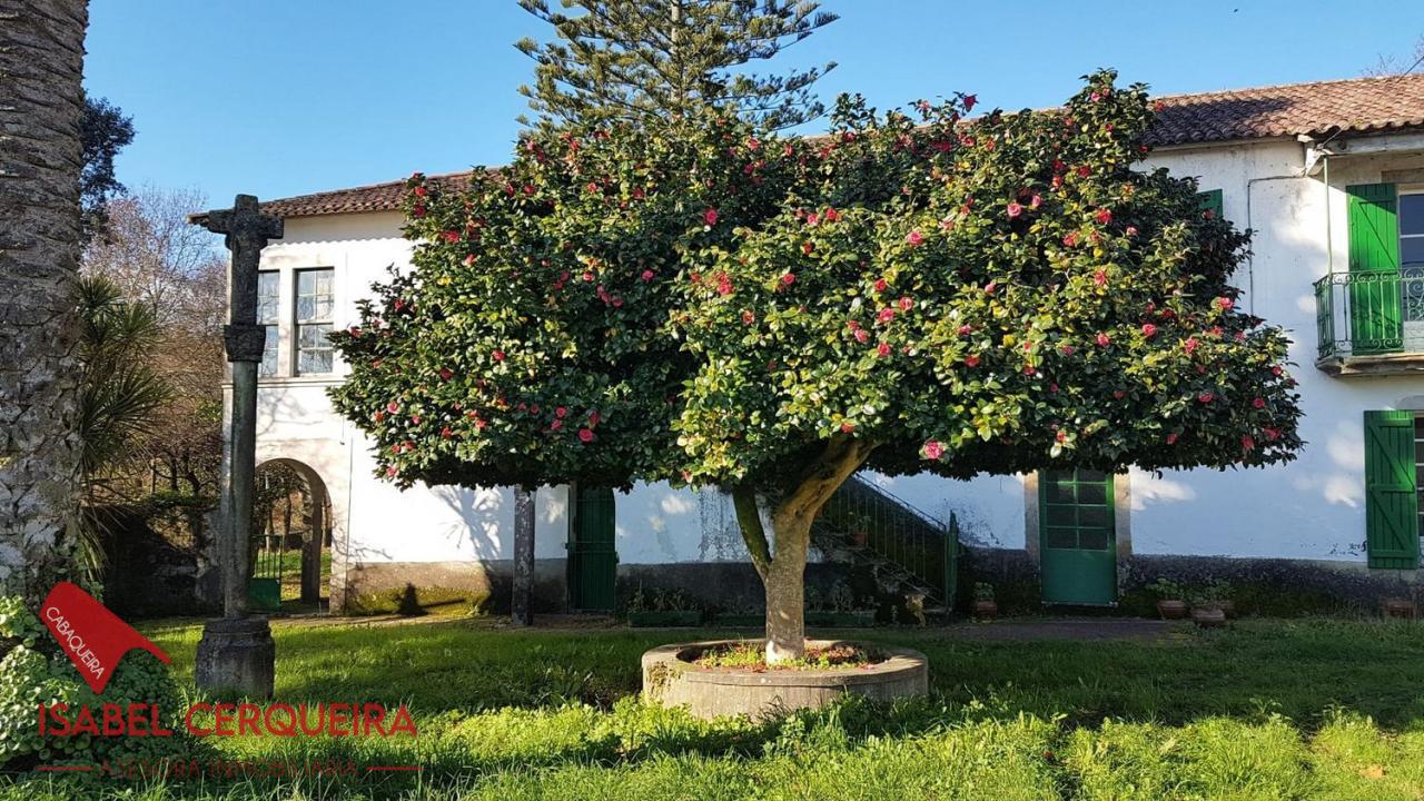 179058483251900039662_173385236389 OPORTUNIDAD ÚNICA EN TOMIÑO | CASONA DE 1856 A REFORMAR · 462 M² · 9.420 M² DE FINCA
