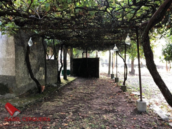 OPORTUNIDAD ÚNICA EN TOMIÑO | CASONA DE 1856 A REFORMAR · 462 M² · 9.420 M² DE FINCA