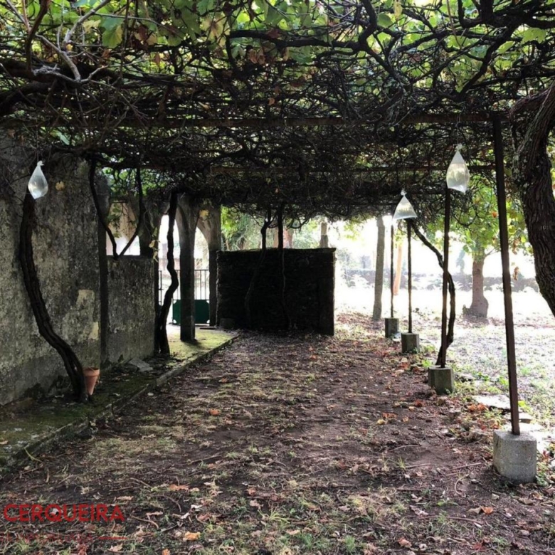 OPORTUNIDAD ÚNICA EN TOMIÑO | CASONA DE 1856 A REFORMAR · 462 M² · 9.420 M² DE FINCA