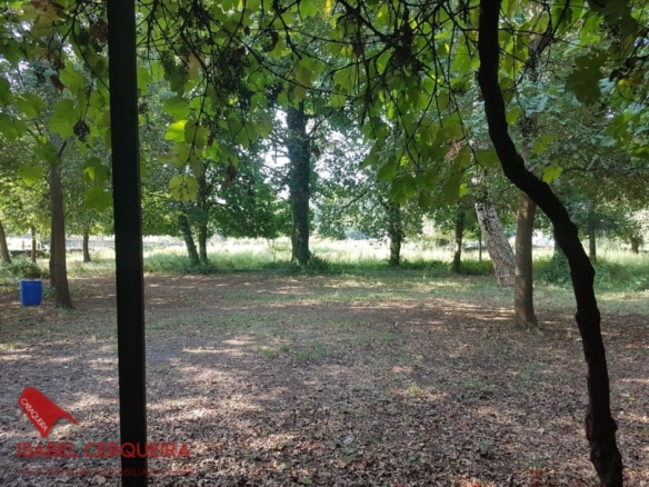 OPORTUNIDAD ÚNICA EN TOMIÑO | CASONA DE 1856 A REFORMAR · 462 M² · 9.420 M² DE FINCA