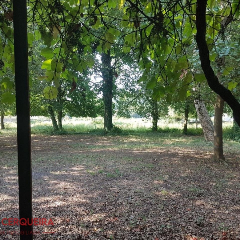 OPORTUNIDAD ÚNICA EN TOMIÑO | CASONA DE 1856 A REFORMAR · 462 M² · 9.420 M² DE FINCA