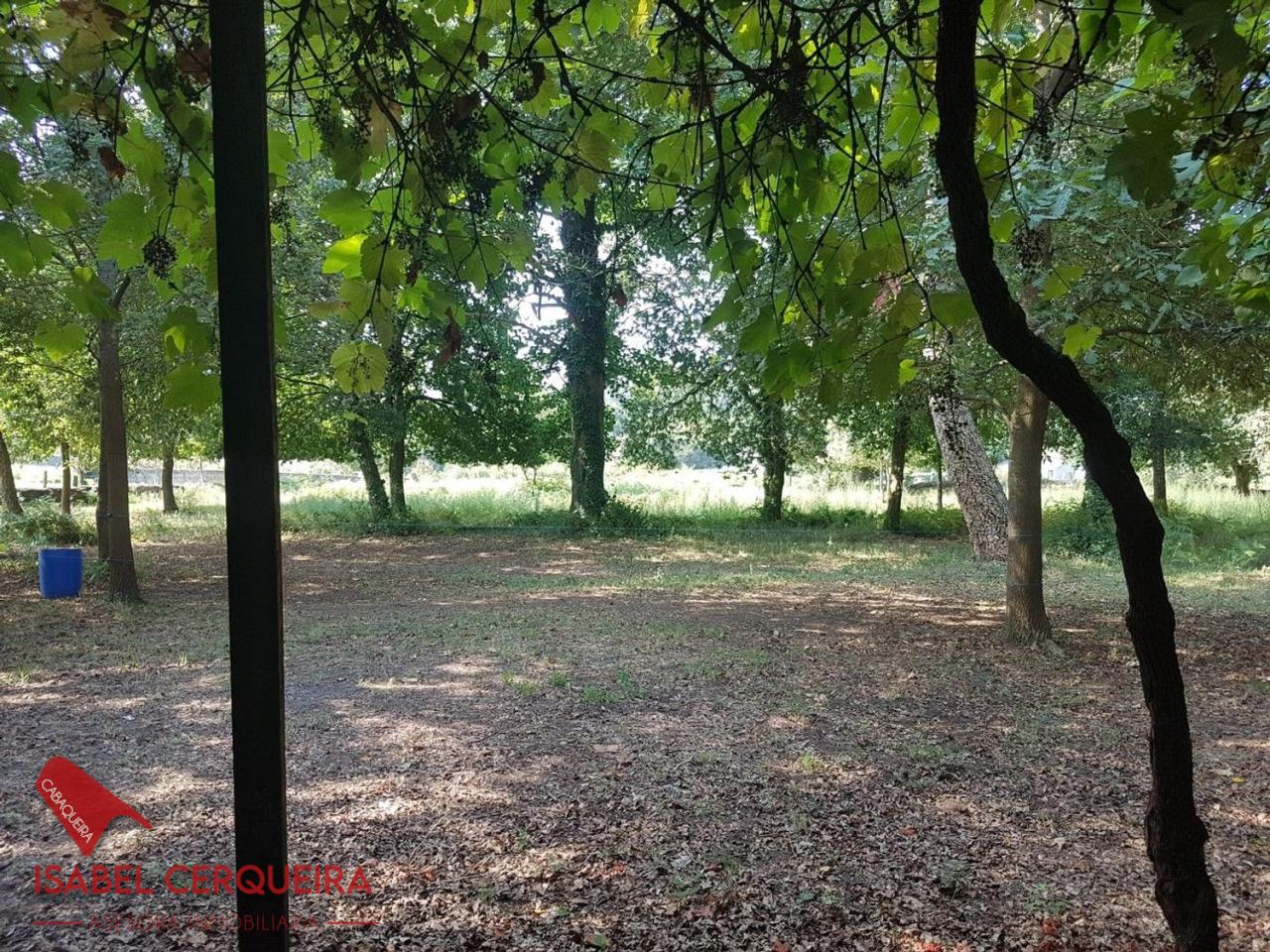 179058483430800039662_173385237565 OPORTUNIDAD ÚNICA EN TOMIÑO | CASONA DE 1856 A REFORMAR · 462 M² · 9.420 M² DE FINCA