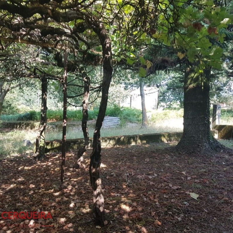 OPORTUNIDAD ÚNICA EN TOMIÑO | CASONA DE 1856 A REFORMAR · 462 M² · 9.420 M² DE FINCA