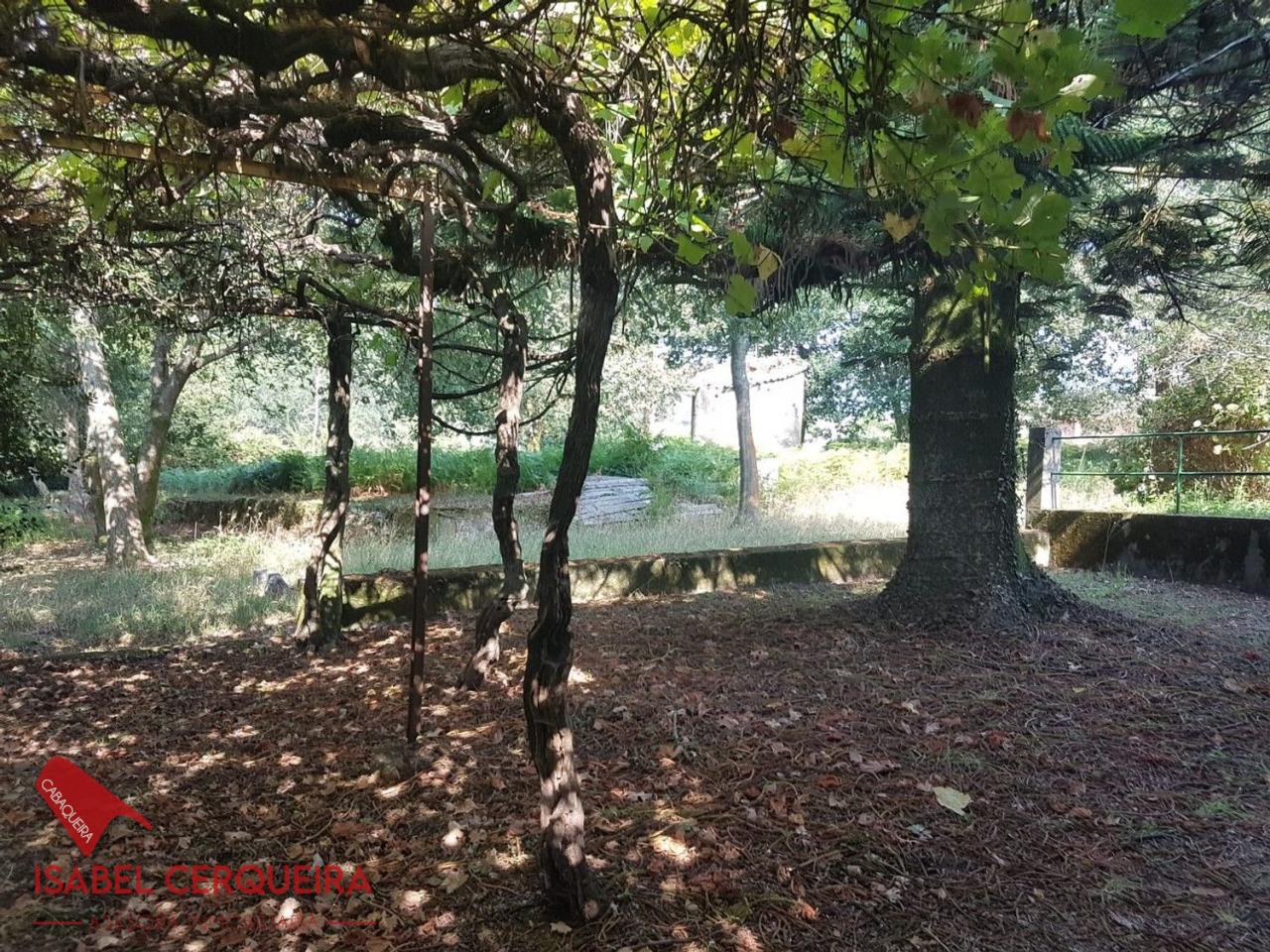 179058483543900039662_173385236681 OPORTUNIDAD ÚNICA EN TOMIÑO | CASONA DE 1856 A REFORMAR · 462 M² · 9.420 M² DE FINCA