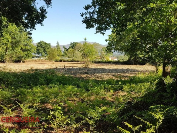 OPORTUNIDAD ÚNICA EN TOMIÑO | CASONA DE 1856 A REFORMAR · 462 M² · 9.420 M² DE FINCA