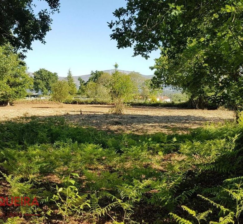 OPORTUNIDAD ÚNICA EN TOMIÑO | CASONA DE 1856 A REFORMAR · 462 M² · 9.420 M² DE FINCA