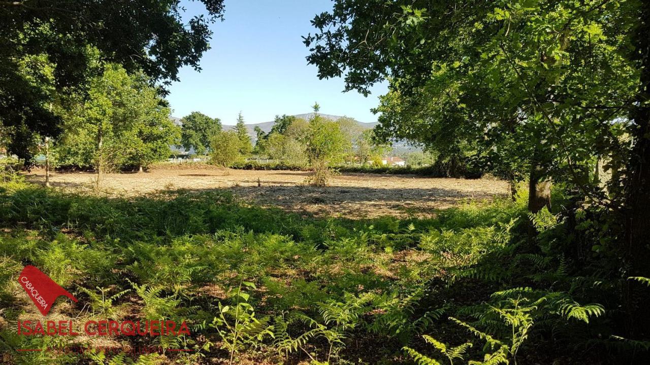 179058483607400039662_173385236811 OPORTUNIDAD ÚNICA EN TOMIÑO | CASONA DE 1856 A REFORMAR · 462 M² · 9.420 M² DE FINCA