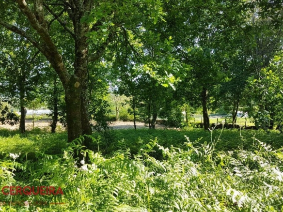 OPORTUNIDAD ÚNICA EN TOMIÑO | CASONA DE 1856 A REFORMAR · 462 M² · 9.420 M² DE FINCA