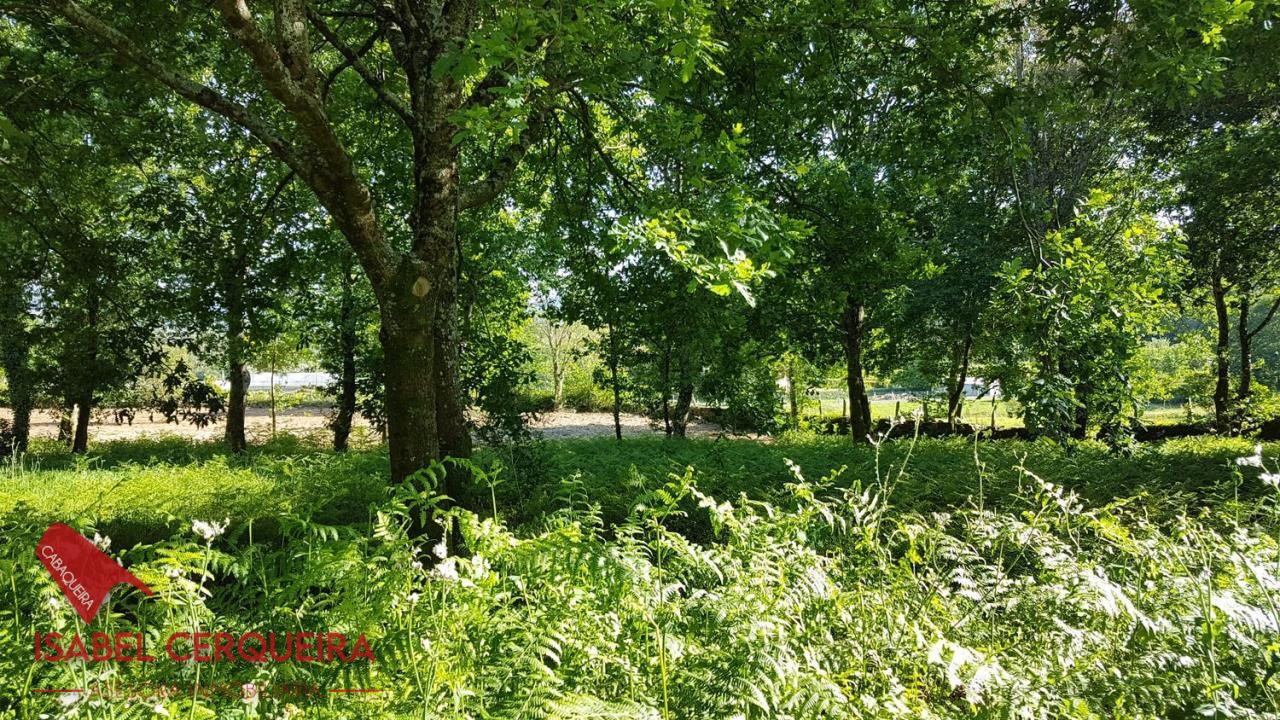 179058483645400039662_173385236214 OPORTUNIDAD ÚNICA EN TOMIÑO | CASONA DE 1856 A REFORMAR · 462 M² · 9.420 M² DE FINCA